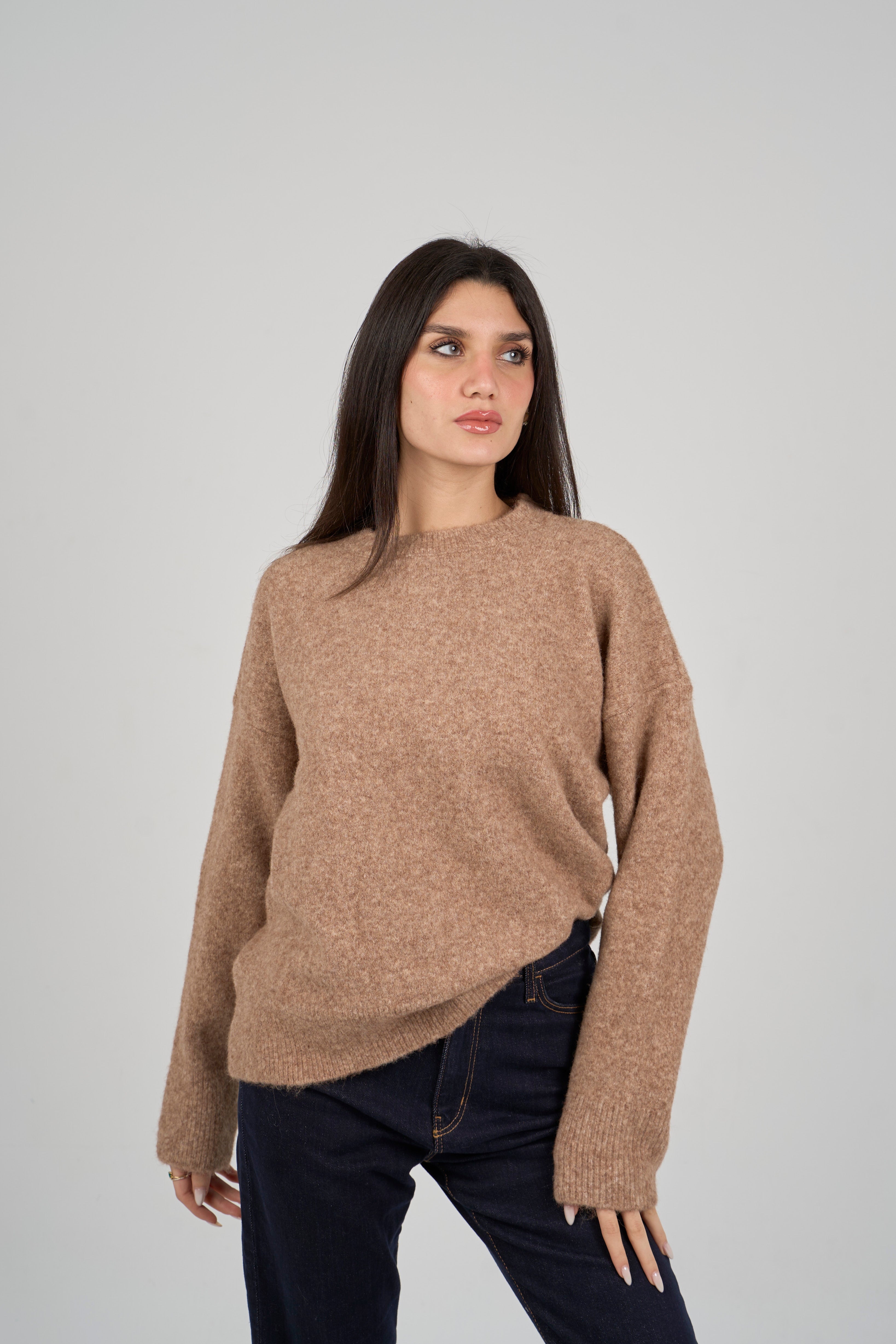 Round Neck Knit Sweater